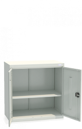 Шкаф архивный ШХА/2-900(50)