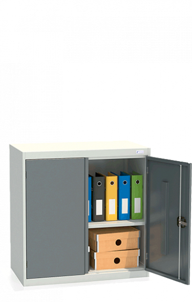 Шкаф архивный ШХА/2-900(50)