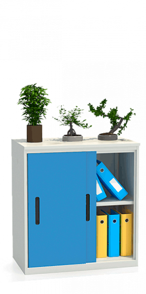 Шкаф-купе архивный ALS-8896