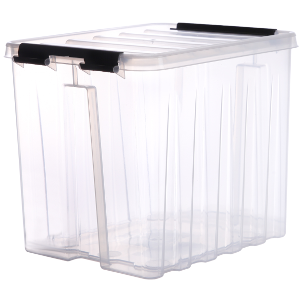 Контейнер с крышкой и клипсами Rox Box Original, 4,5 л, 210x170x175 мм, прозрачный