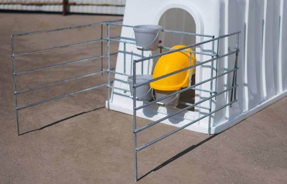 Вольер домика для телят оцинкованный